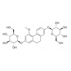 Structure of 1454585-37-5 | 4-Methoxy-9