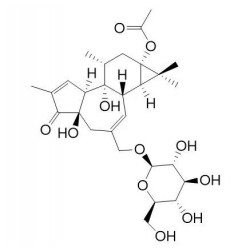 Structure of 1307257-07-3 | Fischeroside A