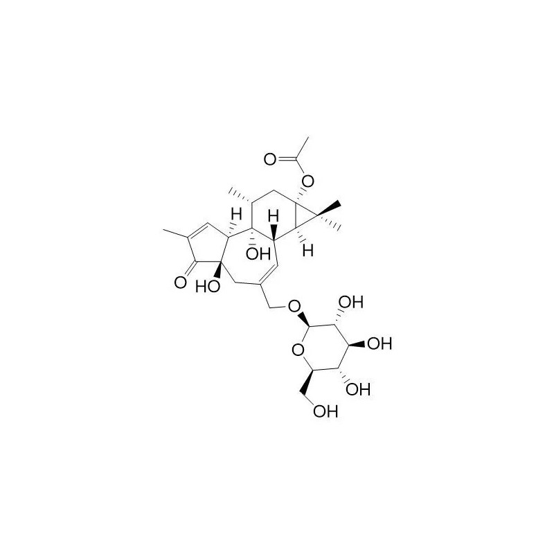 Structure of 1307257-07-3 | Fischeroside A