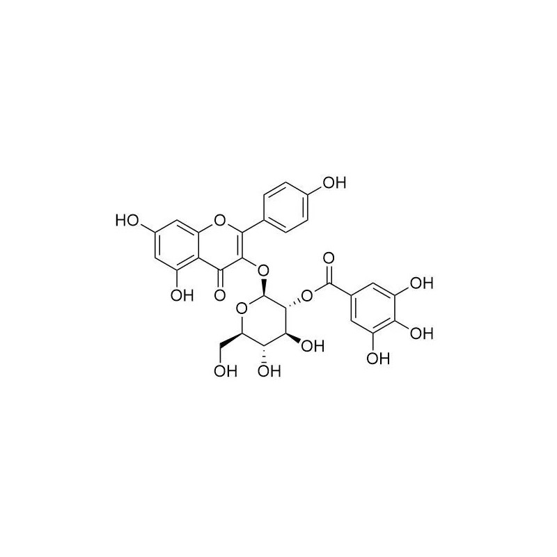 Structure of 76343-90-3 | Kaempferol 3-(2''-galloylglucoside)