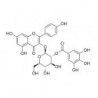 Structure of 76343-90-3 | Kaempferol 3-(2''-galloylglucoside)