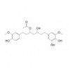 Structure of 934959-67-8 | 1-(3-Methoxy-4-hydroxyphenyl)-3-acetoxy-5-hydroxy-7-(3