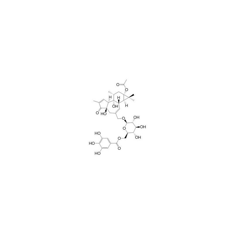 Structure of 1307257-08-4 | Fischeroside B