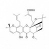 Structure of 173792-68-2 | Moreollic acid
