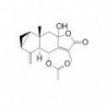 Structure of 325969-56-0 | Strychnistenolide 6-O-acetate